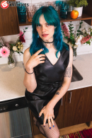 Sierra Bee Returns